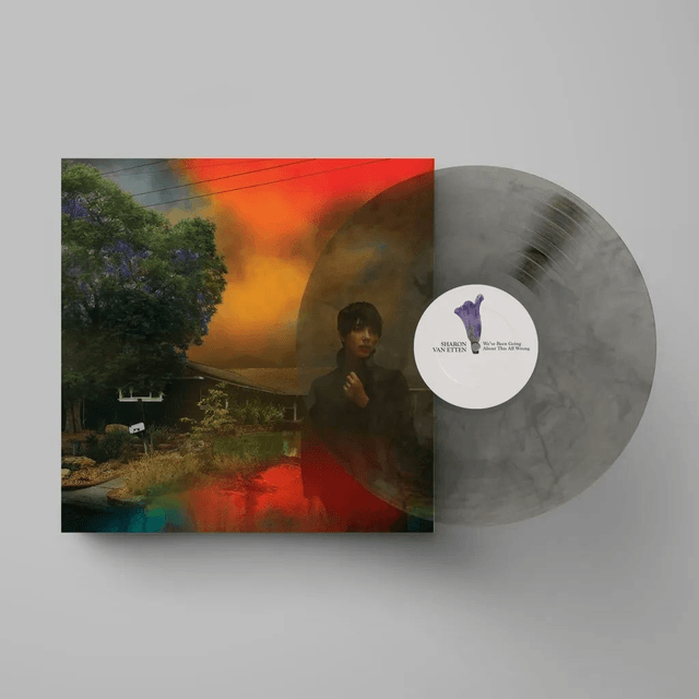 Sharon Van Etten - We've Been Going About This All Wrong LP (Limited Edition Marble Smoke Vinyl)
