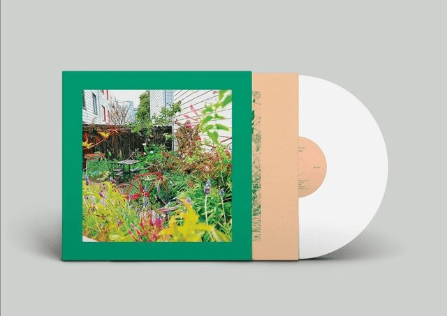 Reds, Pinks and Purples, The - Unwishing Well LP (Limited Edition White Vinyl)