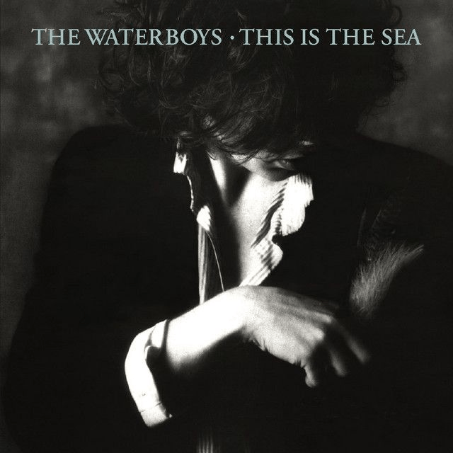 Waterboys, The - This Is the Sea LP (Limited Edition Clear Vinyl)