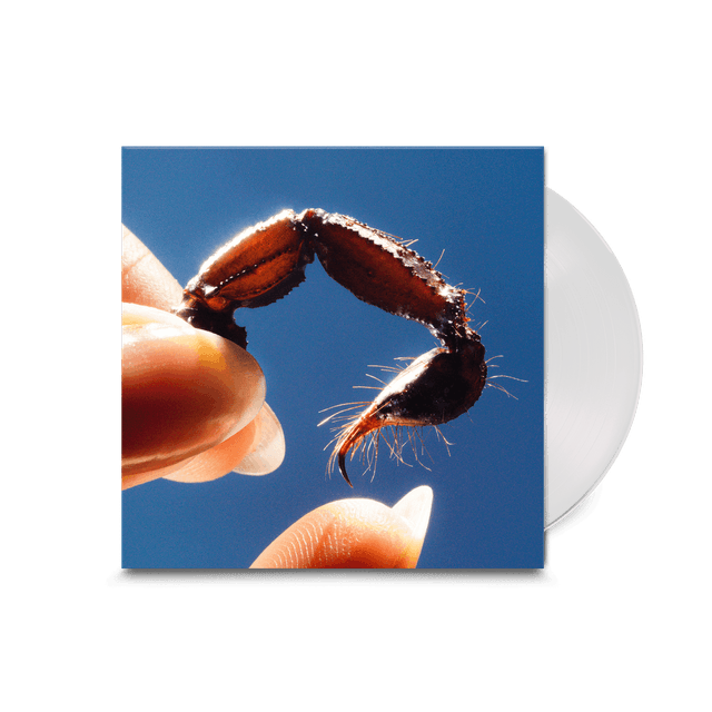 Squid - Cowards LP (Limited Edition Clear Vinyl)