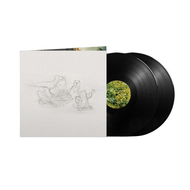 Big Thief - Dragon New Warm Mountain I Believe in You 2xLP
