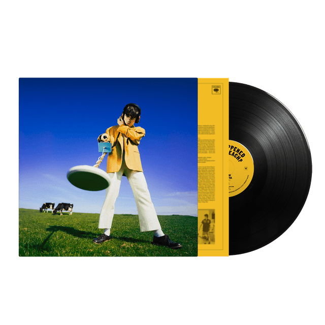 Declan McKenna - What Happened to the Beach? LP