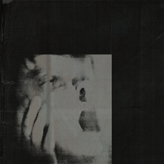 DITZ - Never Exhale LP (Limited Edition Pink Vinyl)