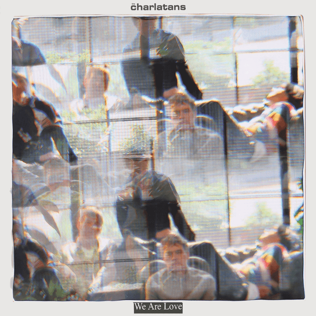 Charlatans, The - We Are Love LP (Indies Exclusive Orange Translucent Vinyl) (Due Out 31/10/2025)