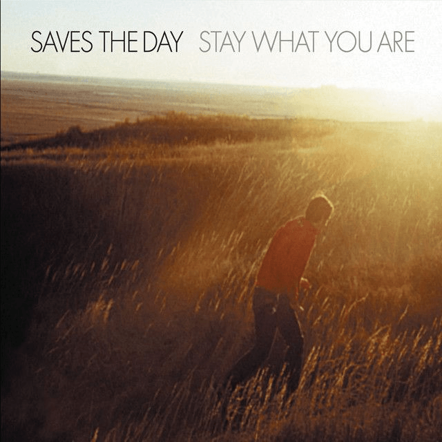 Saves the Day - Stay What You Are 2x10" (Limited Edition White with Yellow / Red Splatter Vinyl)