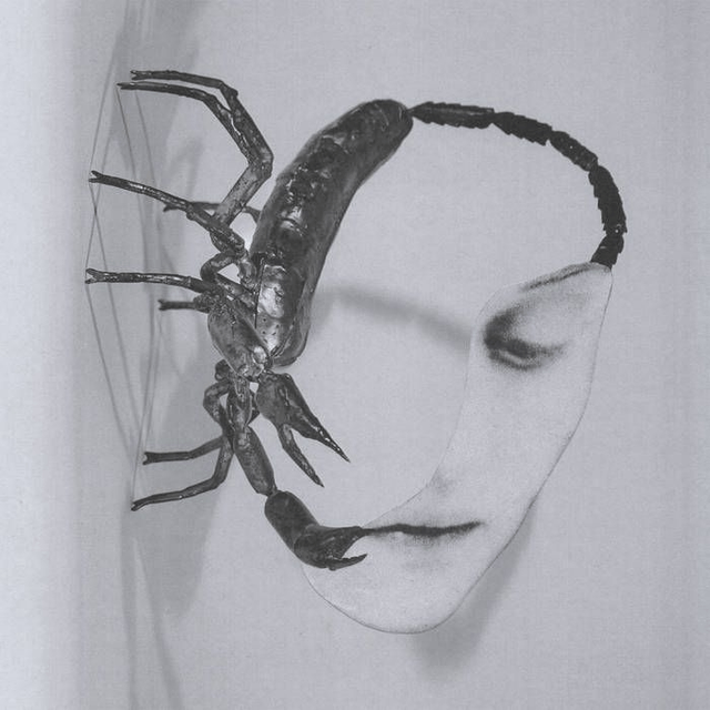Tortoise - Touch LP (Due Out 24/10/2025)