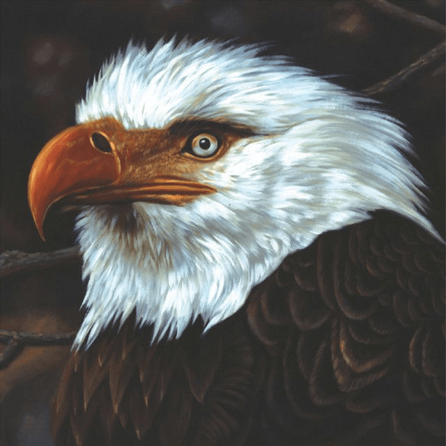 Mogwai - The Hawk Is Howling 2xLP (15th Anniversary Edition White Vinyl)