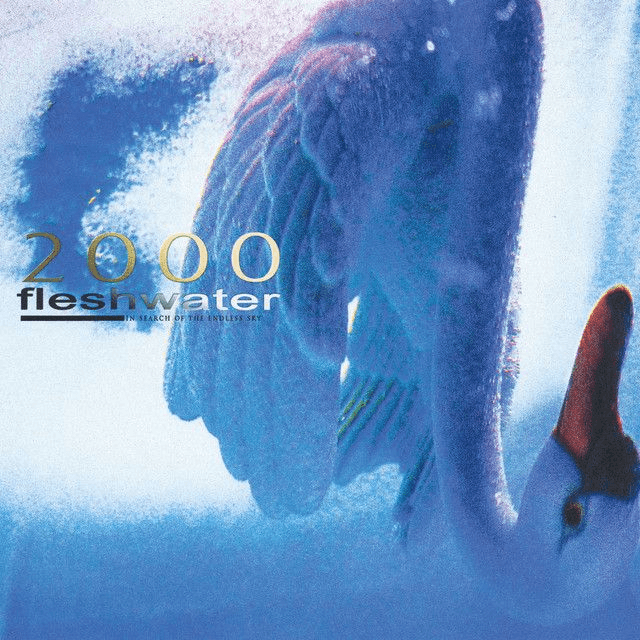 Fleshwater - 2000: In Search of the Endless Sky LP (Fluorescent Pink Vinyl)