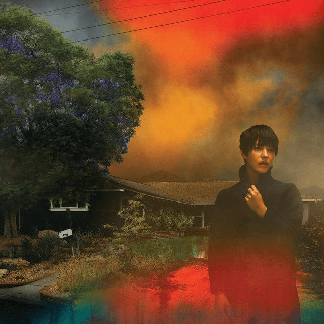 Sharon Van Etten - We&#039;ve Been Going About This All Wrong LP (Limited Edition Marble Smoke Vinyl)