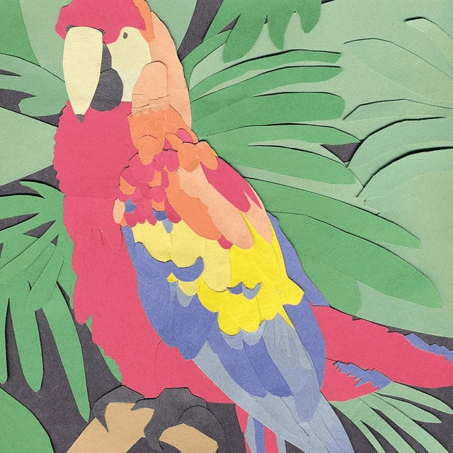 Algernon Cadwallader - Parrot Flies LP (Limited Edition Red Vinyl)