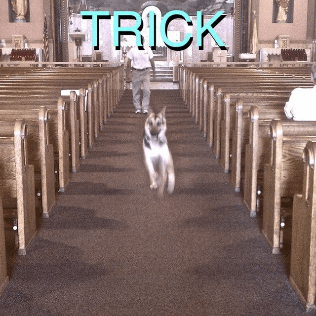 Alex G - Trick LP (Black Vinyl &amp; Bonus 7&quot;)