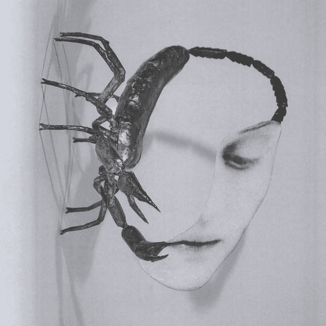 Tortoise - Touch LP (Due Out 24/10/2025)